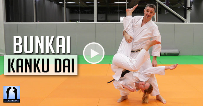 bunkai kakanu dai - karate avec Lionel Froidure