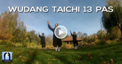 Forme des 13 pas de Wudang Taichi avec Charles-Henri Belmonte