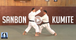 karate sanbon kumite vidéo