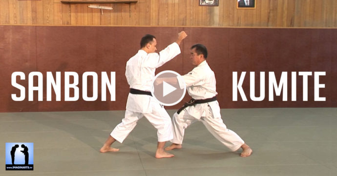 karate sanbon kumite vidéo