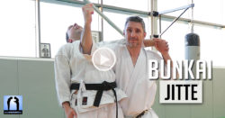 bunkai jitte karate shotokan video avec lionel froidure