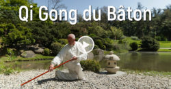 Vidéo Qi Gong du bâton avec Thierry Alibert