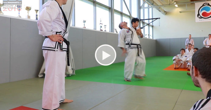 hapkido jin jun kwan lee chang soo video