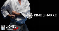 discussion vidéo autour du kime et du hakkei dans le karate