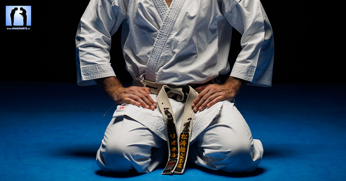 Cours de Karaté débutant programme de la ceinture blanche à la jaune