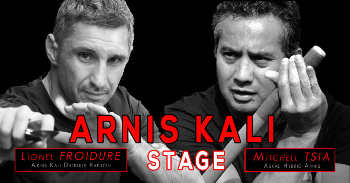 Stage Arnis Kali Villepinte novembre 2018 - affiche horizontal