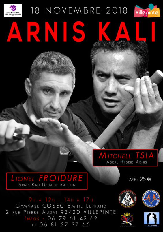 Stage Arnis Kali Villepinte novembre 2018