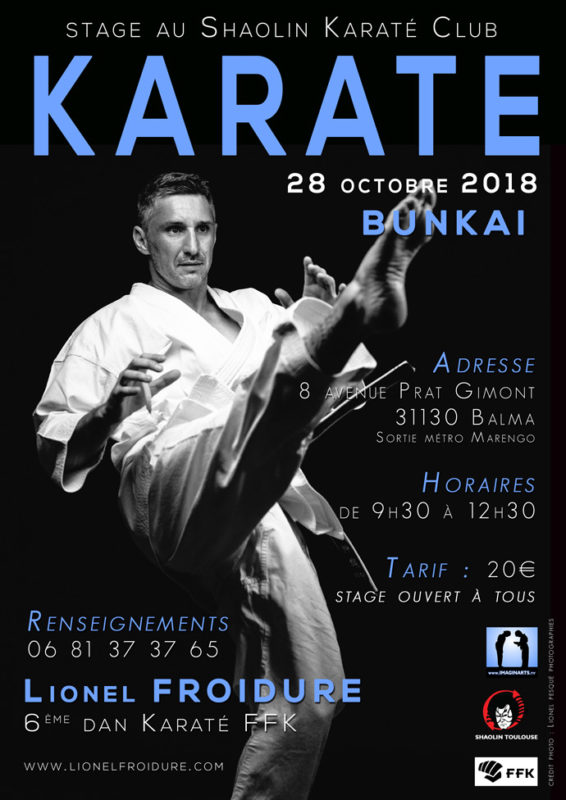 stage karate bunkai avec lionel Froidure 28/10/2018 Toulouse