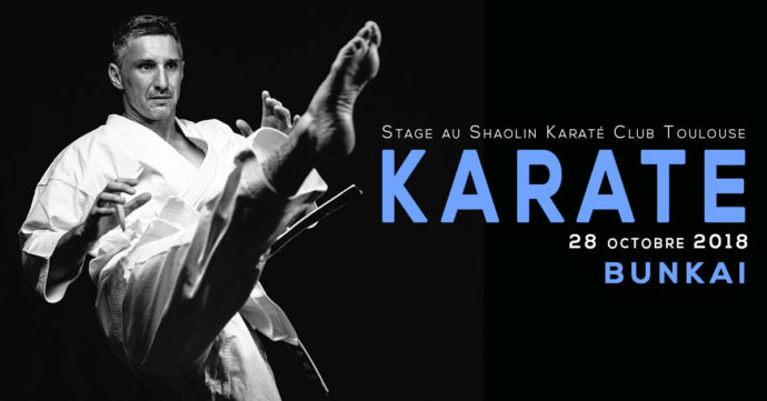 stage karate bunkai avec lionel Froidure 28/10/2018 Toulouse