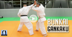 karate bunkai gankaku vidéo avec Lionel Froidure