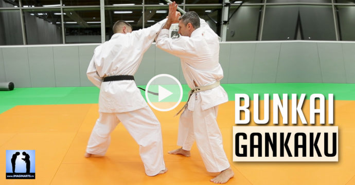 karate bunkai gankaku vidéo avec Lionel Froidure