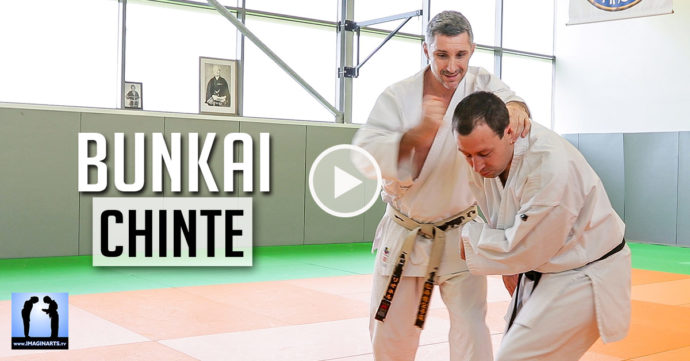 karate bunkai chante Lionel Froidure