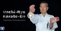 DVD Karate Uechi Ryu avec Shimabukuro sensei