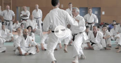 jean-françois tisseyre karate