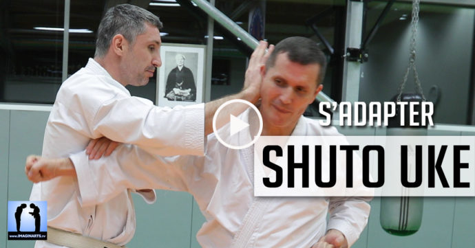 shuto uke bunkai lionel froidure video