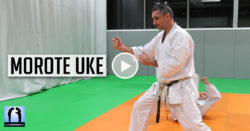 bunkai morote uke - karate avec Lionel Froidure