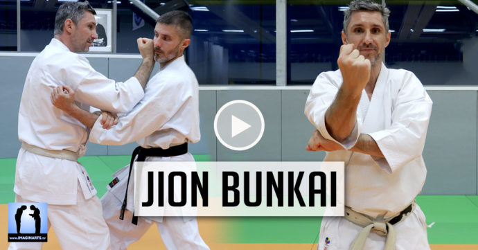 karate jion bunkai avec Lionel froidure