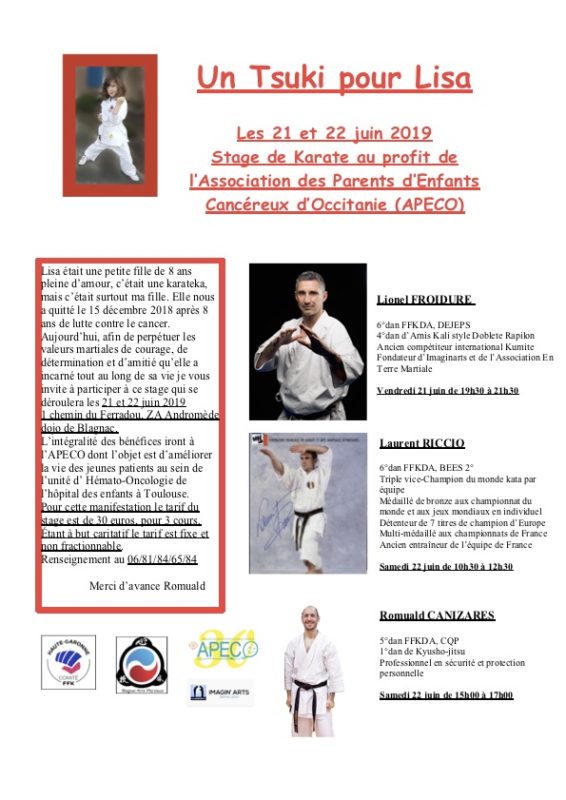 stage karate cancer Lisa Toulouse Blagnac