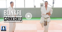 karate bunkai gankaku avec Lionel froidure