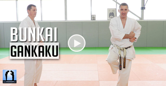 karate bunkai gankaku avec Lionel froidure