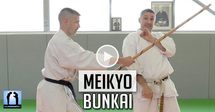 bunkai meikyo karate lionel froidure