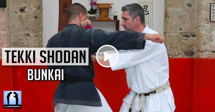 Vidéo Bunkai Tekki Shodan avec Lionel Froidure