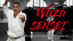 waza du sensei avec Lionel Froidure