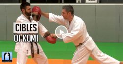 enchaînement combat oi Komi en karate sur cible