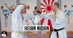 vidéo bunkai heian nidan avec Lionel Froidure