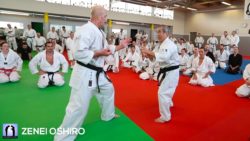 Vidéo Zenei Oshiro - stage Karate Goju-Ryu