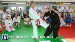 stage karate avec Yukinobu shimabukuro 2019 vidéo