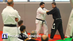 stage Yi Quan 2019 Michel Tournerie