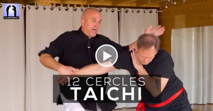 applications tai chi yang - vidéo Thierry Alibert