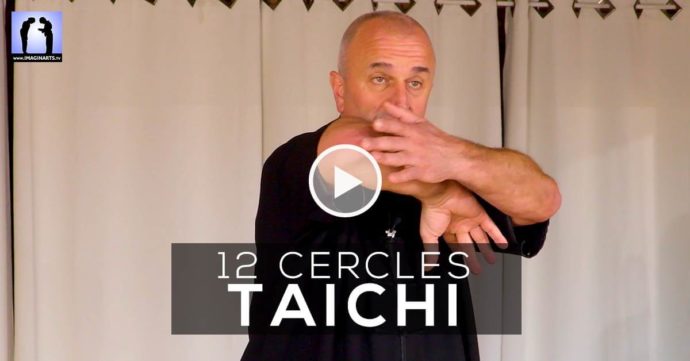 Taichi application des 12 cercles avec Thierry Alibert