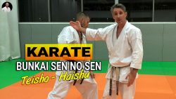 bunkai sen no sen karate avec teisho uke et haishu uke