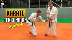 Bunkai Tekki Nidan Karaté avec Lionel Froidure