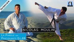 nicolas moulin karatedo shotokai Valence