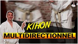 conseils kihon multidirectionnel karate shotokan avec Lionel Froidure