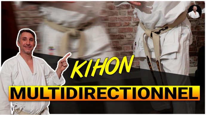 conseils kihon multidirectionnel karate shotokan avec Lionel Froidure