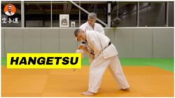 bunkai hangetsu