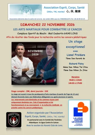 stage karate cancer caritatif en novembre 2026 à Lons - Pyrénées-Atlantique